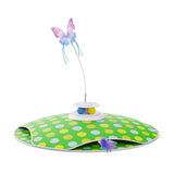 Interactive Hide and Seek Cat Toy with Chasing Feather Fluttering Butterfly Trackballs 3 in 1 Kitten Smart Teaser Cat Toy