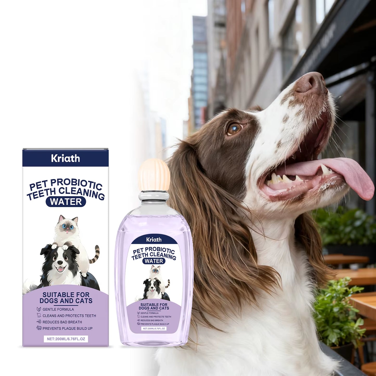 Pet Oral Care Solution Effectively Reducing Plaque and Plaque Accumulation Prevent Bad Breath Promote Gum Health Pet Oral Cleane