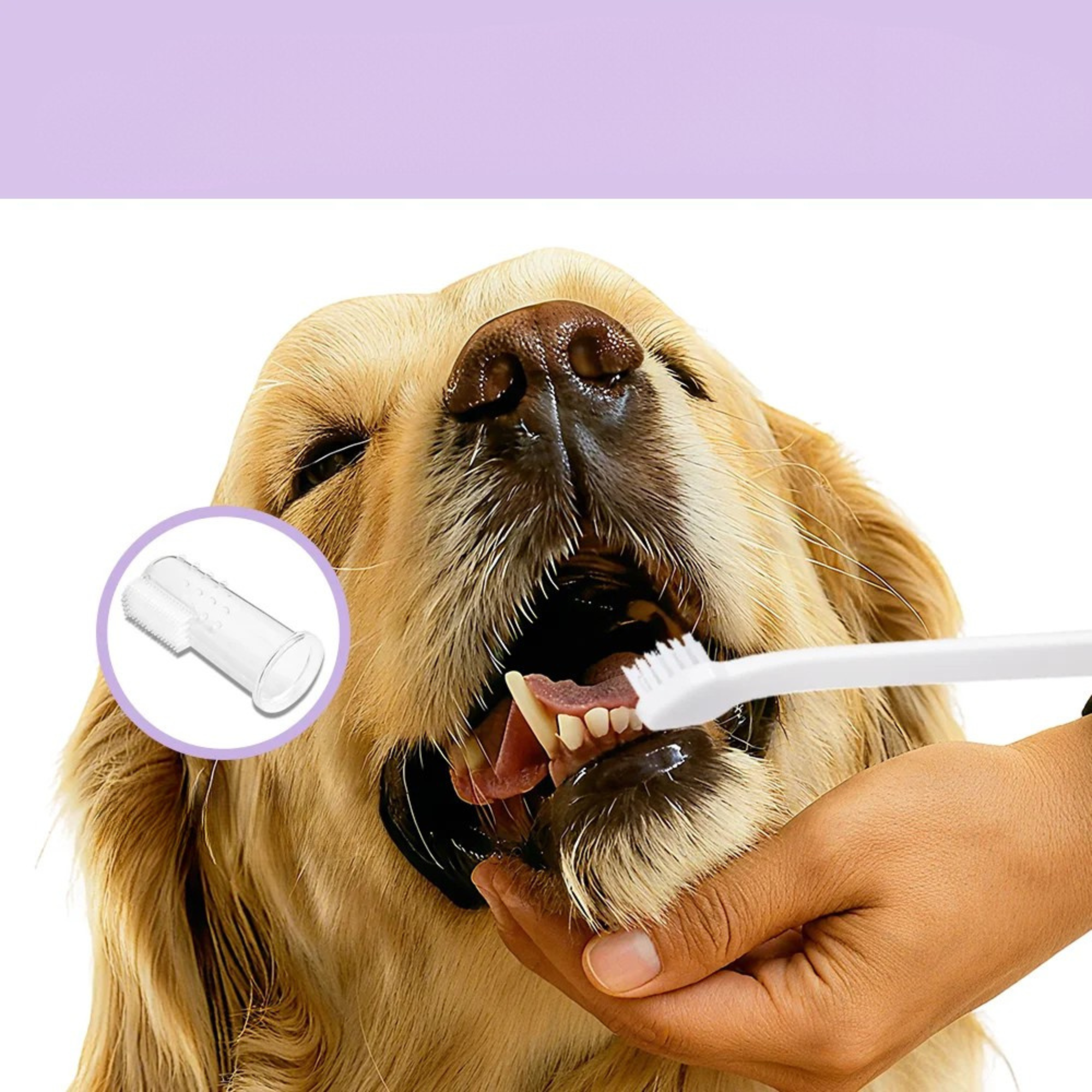Enzymatic Pet Toothpaste
