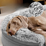 Orthopedic Dog Bed