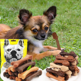 Dog Dental Chew Toothbrush