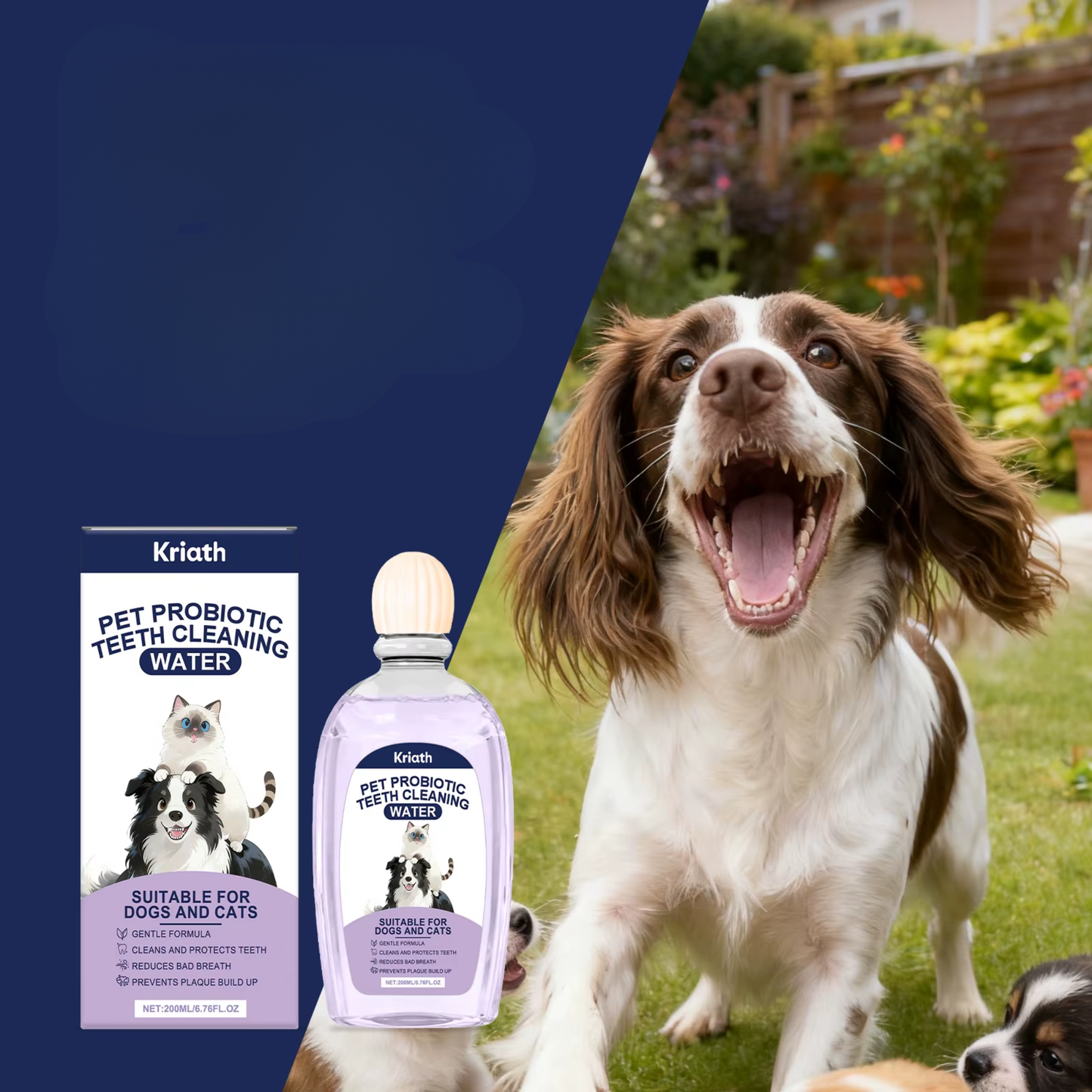 Pet Dental Care Solution