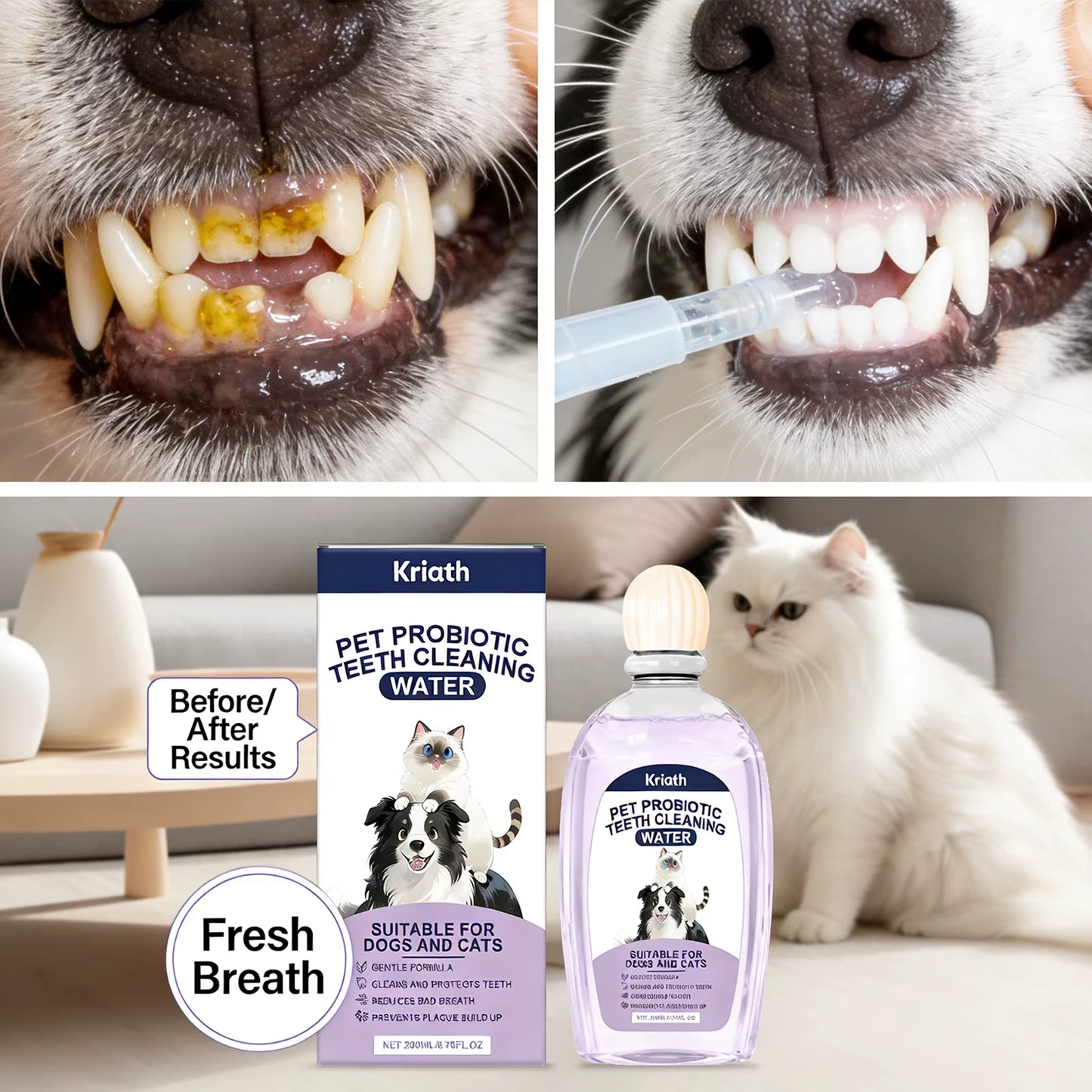 Pet Oral Care Solution Effectively Reducing Plaque and Plaque Accumulation Prevent Bad Breath Promote Gum Health Pet Oral Cleane